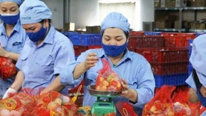 하노이 하프로 산업단지에 위치한 비엣푸드 공장에서 일하는 노동자들. (사진: NDO)