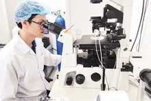 호찌민시 베트남국립대학교에서 진행되는 과학 연구 활동.