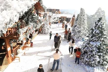 달랏에서 크리스마스 분위기를 즐기는 사람들. (사진: baodautu.vn)