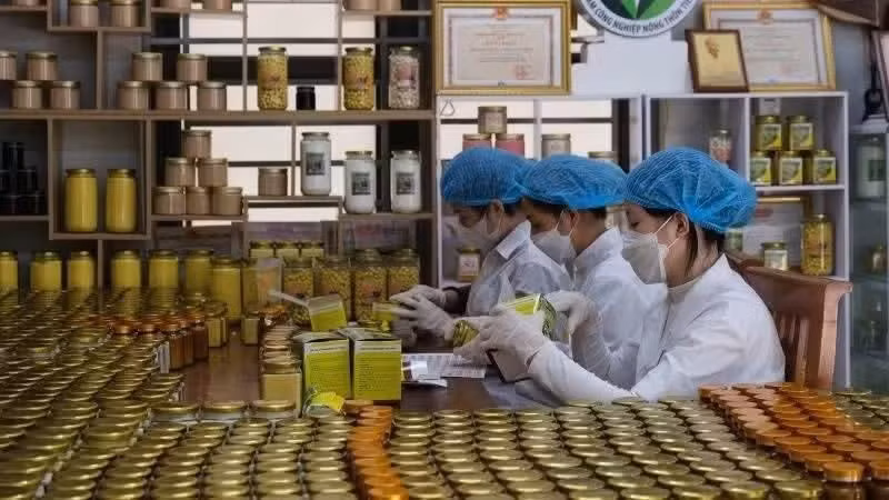 국가 관리의 효율성과 기관 및 단체의 협력 책임 강화를 통한 농촌 노동자 직업 교육 강화.