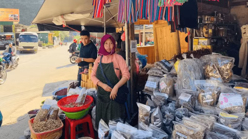 현지 체험형 서비스는 베트남 관광의 정체성을 형성하고 있다.