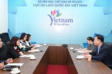 회의 모습. 사진: TITC