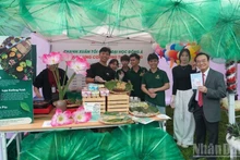 다낭 학생들이 19일 개최된 행사에서 한국 문화 공간을 체험하고 있다. (사진: ANH DAO)