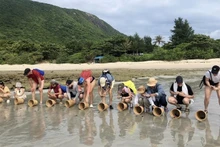 방문객들이 꼰다오 국립공원에서 바다거북을 바다로 방류하는 체험을 하고 있다.