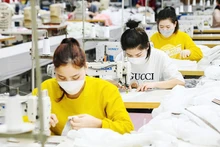 2025년 첫 9개월 동안 전국적으로 약 23만 개의 기업이 새로 설립되거나 영업을 재개했다. (사진: THANH DAT)