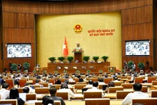 국회 제10차 회기 회의 모습 (사진: VNA)
