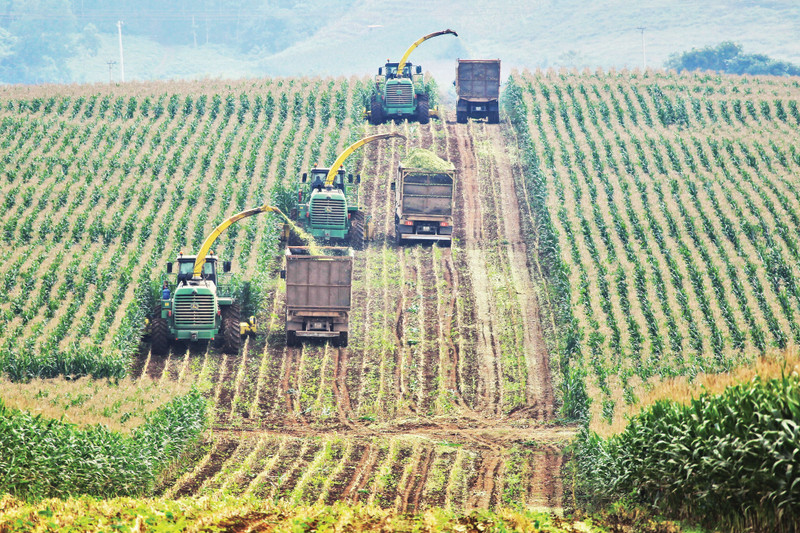 TH 그룹은 첨단 농업과 순환 경제 분야에서 지속 가능한 투자의 모범 사례로 꼽힌다.