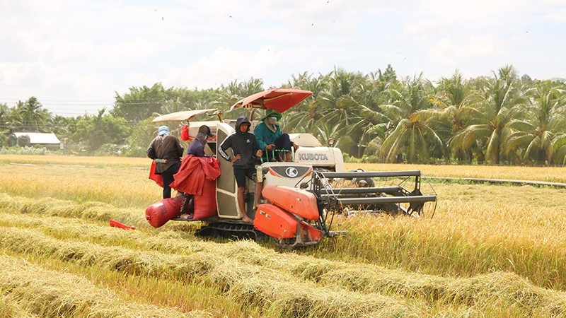 쩌우탄 지역에 위치한 팟타이 농업 협동조합은 생산 비용 절감을 위해 콤바인 수확기를 활용하고 있다.