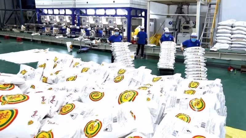 쭝안 하이테크농업주식회사에서 수출용 쌀을 가공하는 모습. (사진: Vu Sinh)