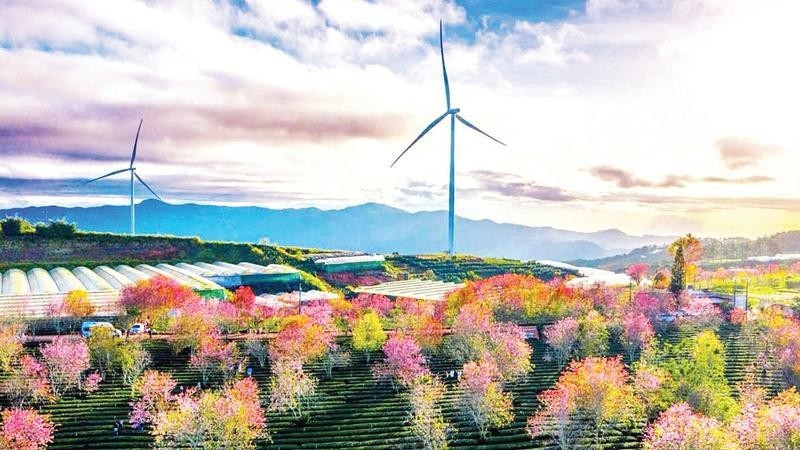 럼동성의 풍력 발전 프로젝트 .