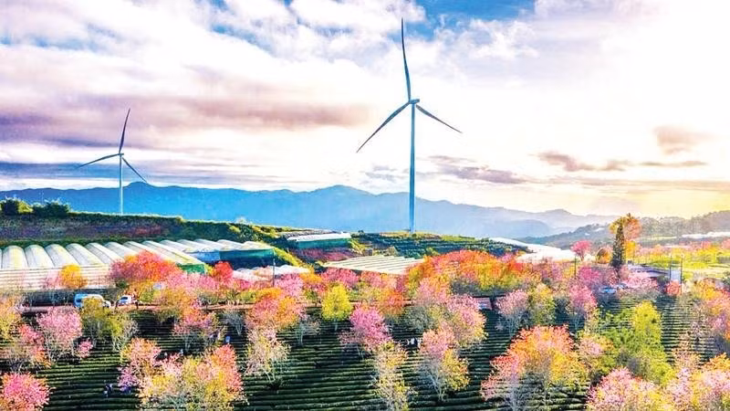 럼동성의 풍력 발전 프로젝트 .