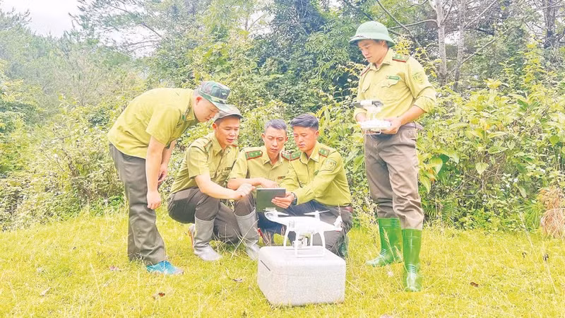 디지털 기술의 도입으로 썬라 산림감시대는 산림 관리 및 보호 업무를 보다 효과적으로 수행할 수 있게 되었다.