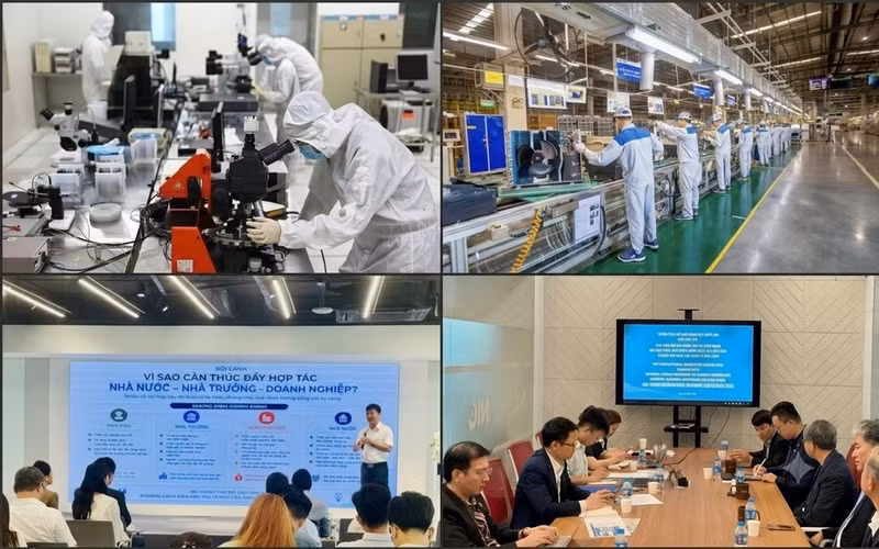 국가, 기업, 연구기관/대학의 3자 연계’모델은 과학 연구와 시장의 실질적 수요를 연결한다. (사진: DO BAO–MAI HUYEN)