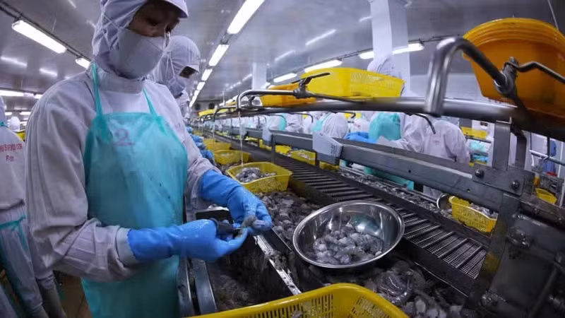 1분기 3.58% 성장한 농림수산 부문. (사진: VNA)
