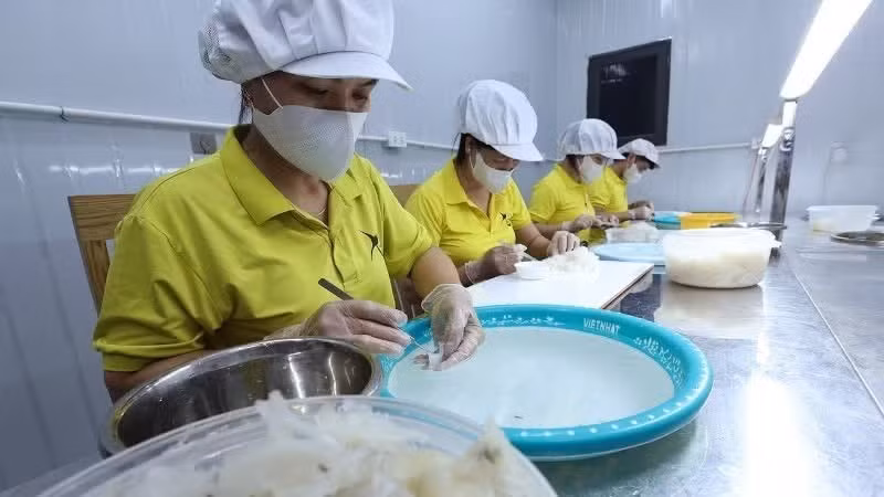 타인호아성 반록 지역에 위치한 쉬탄 제비집생산·유통유한책임회사에서 제비집 제품의 1차 가공 작업이 이뤄지는 모습. (사진: VNA)
